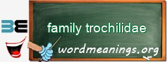 WordMeaning blackboard for family trochilidae